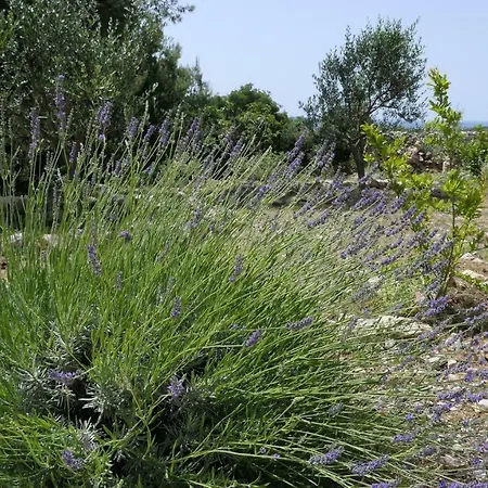 Holiday home Relax Vacation Rogoznica (Sibenik-Knin)