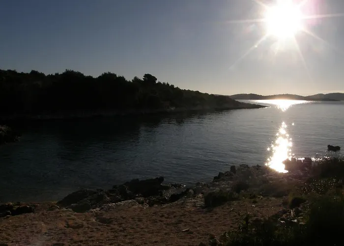 Relax Vacation 로고즈니차