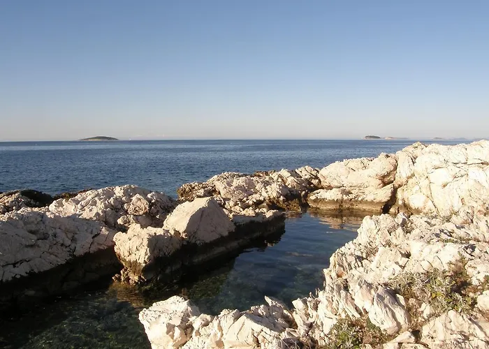 Relax Vacation 로고즈니차