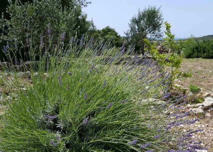 펜션 Relax Vacation 로고즈니차