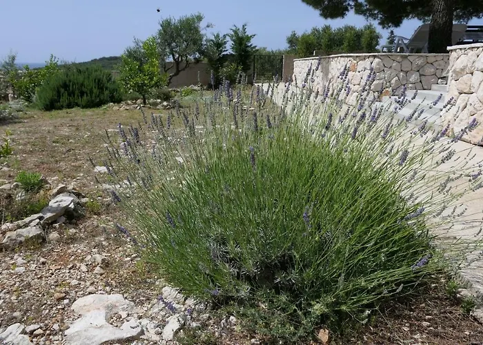 Relax Vacation 펜션 로고즈니차